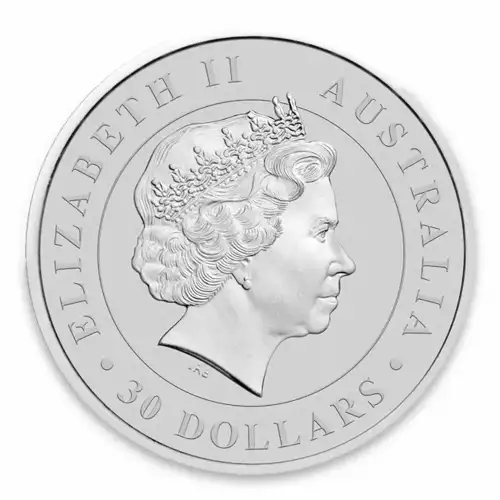 2014 1kg Australian Perth Mint Silver Koala (2)