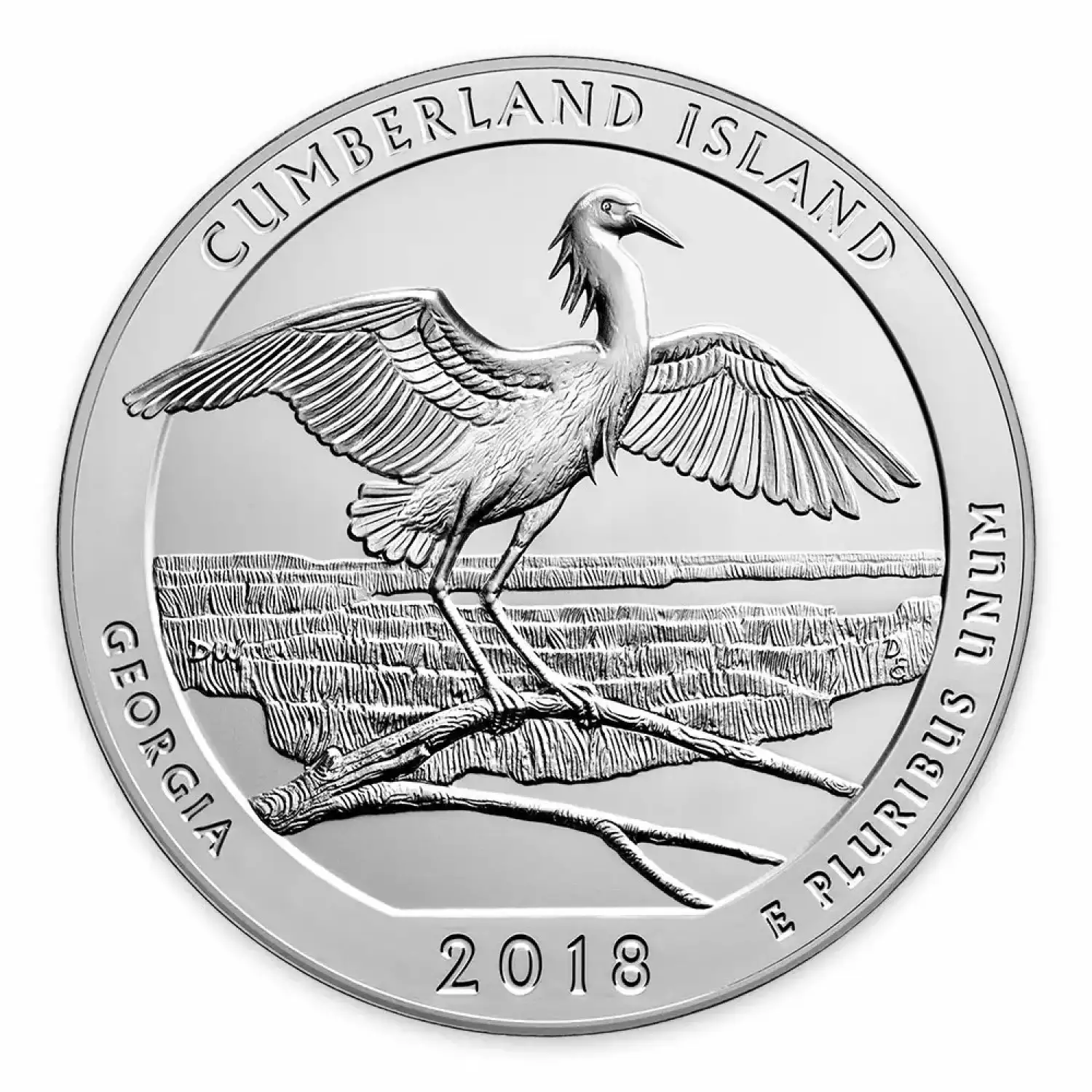 2018 5 oz Silver America the Beautiful Cumberland Island National Seashore (2)
