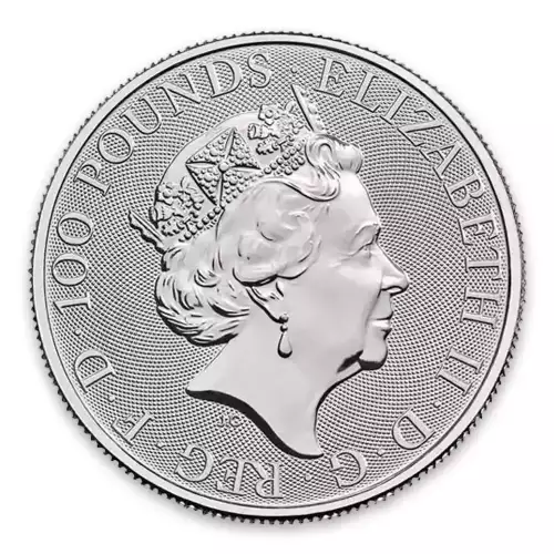 2019 1oz British Platinum Britannia Coin (3)