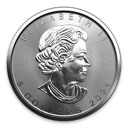 2021 1oz Canadian Silver Maple Leaf (3)