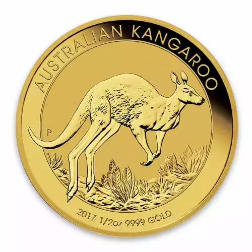 Any Year 1/2oz Bullion Nugget / Kangaroo Coin (2)