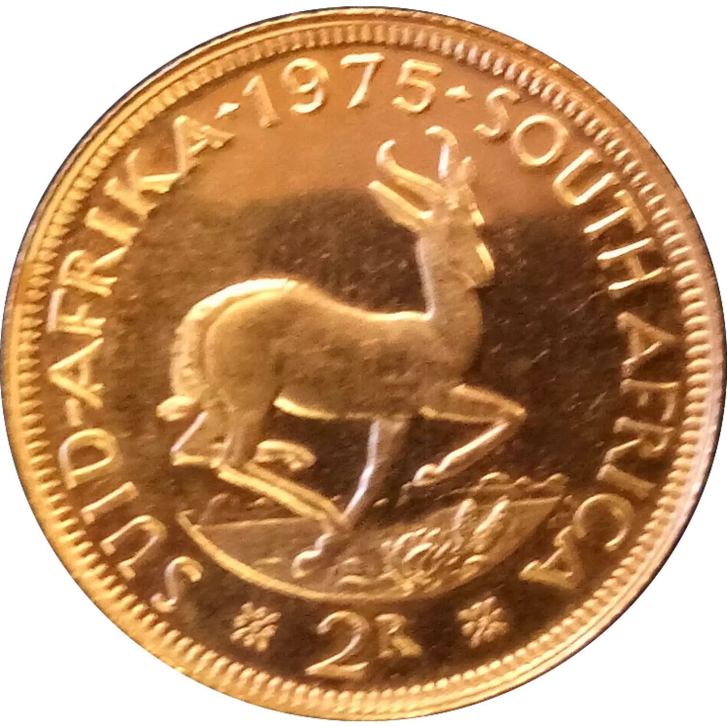 South Africa 2 Rand gold coin (2)